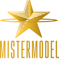 mister-model-logo-913x1024